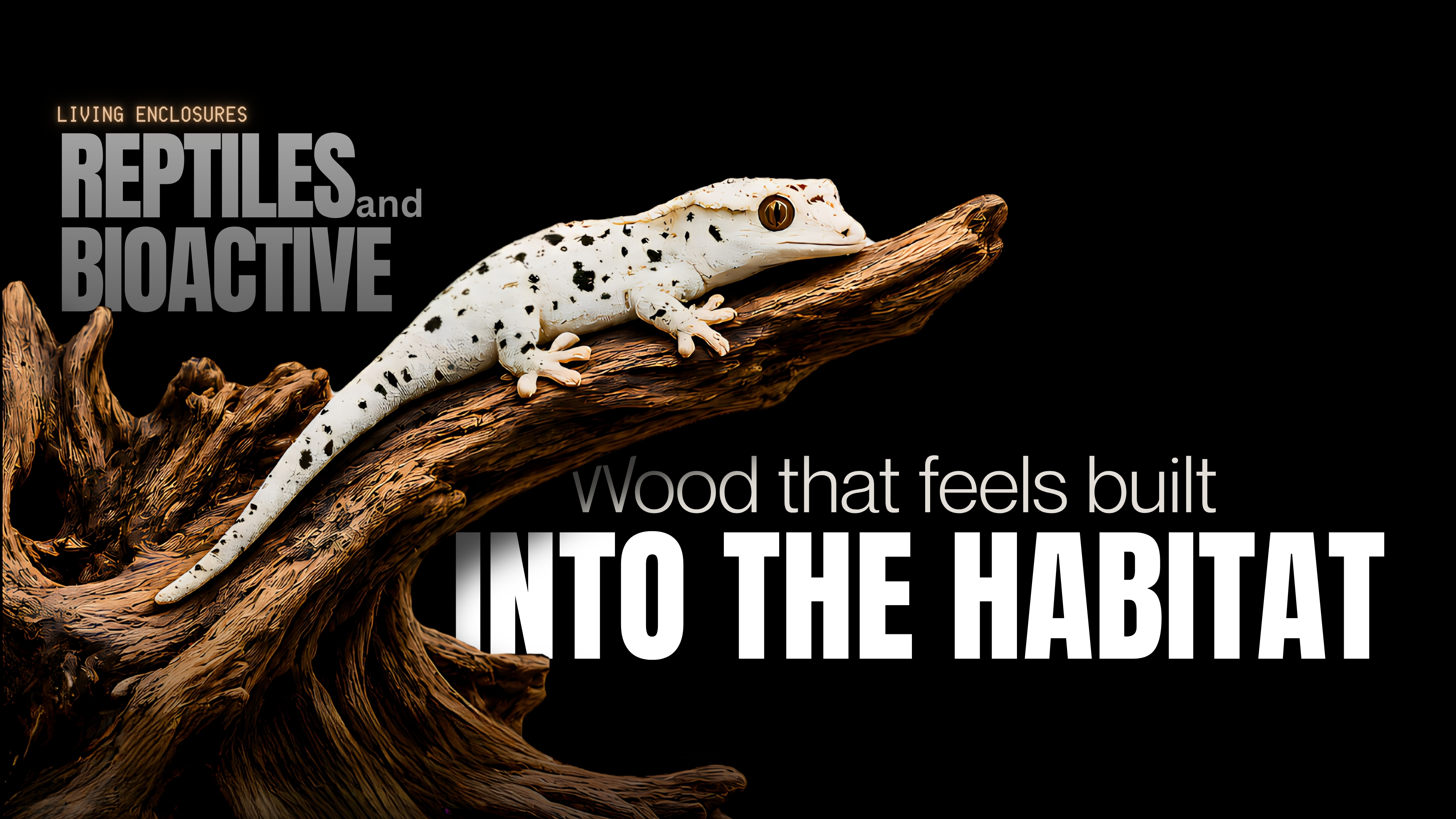 Living Enclosures — Reptiles and Bioactive. Wood should feel like the environment is built around it.